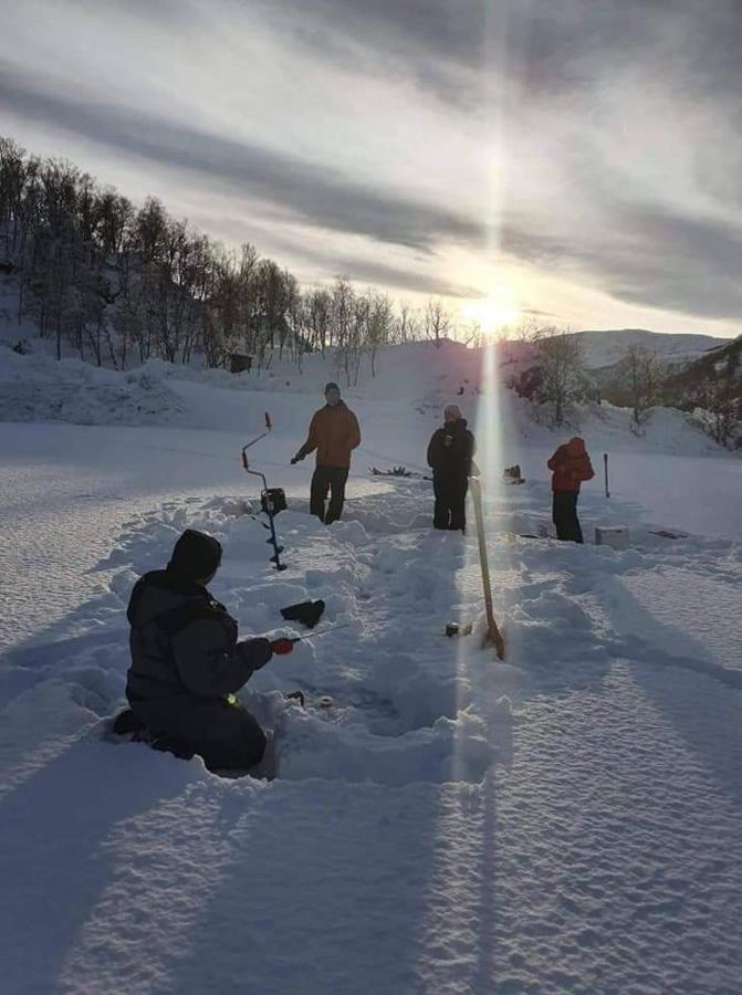Senja Arctic Lodge Stonglandseidet Bagian luar foto