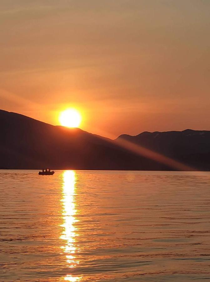 Senja Arctic Lodge Stonglandseidet Bagian luar foto